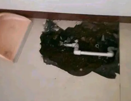 荷塘卫生间测漏水多少钱